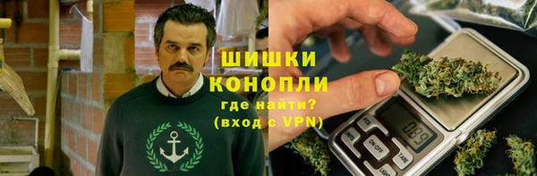 индика Арсеньев