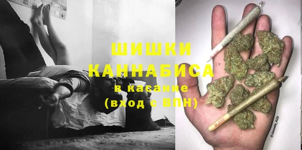индика Арсеньев