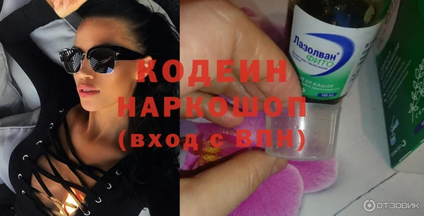 индика Арсеньев