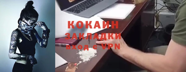 индика Арсеньев