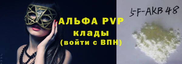 индика Арсеньев