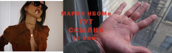 индика Арсеньев