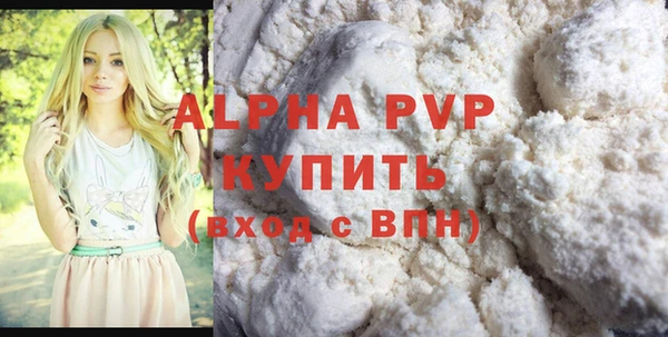 индика Арсеньев