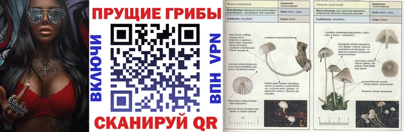 Галлюциногенные грибы GOLDEN TEACHER  дарнет шоп  Кукмор 